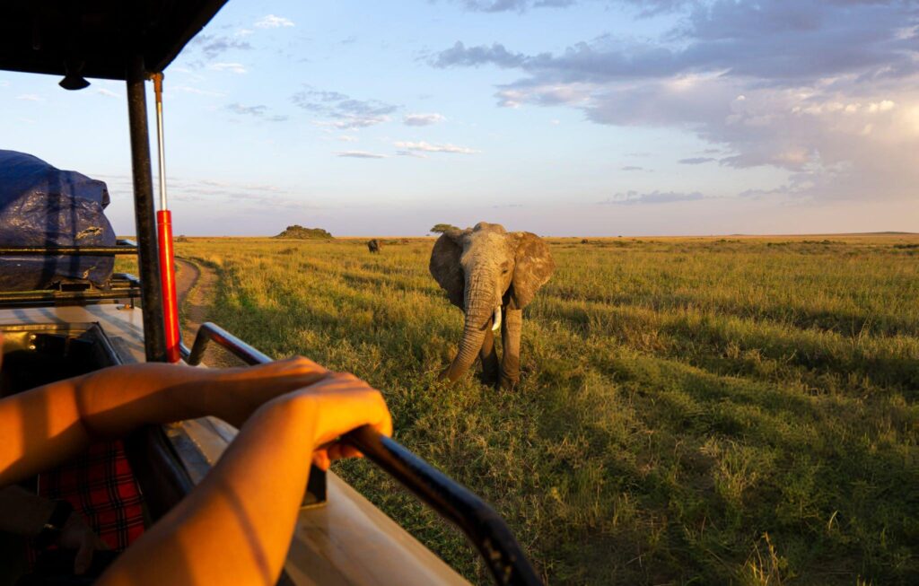 4-Day Luxury Wilderness Safari